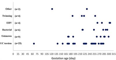 A Diagnostic Survey of Aborted Equine Fetuses and Stillborn Premature Foals in Denmark